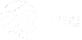Touche Wellness 
